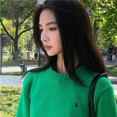 雁南飞