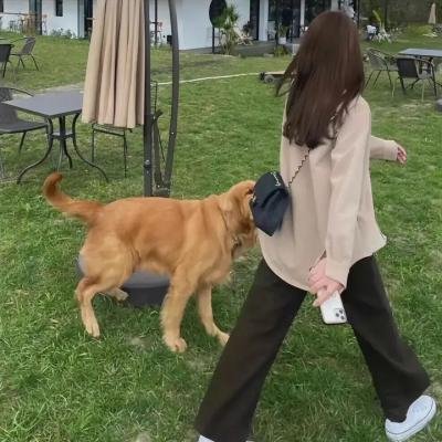 知音有约